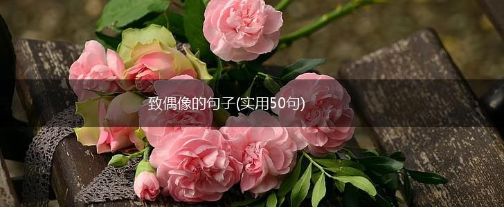 致偶像的句子(实用50句),第1张