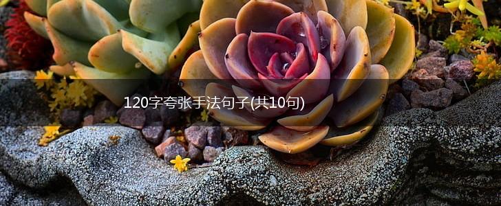 120字夸张手法句子(共10句),第1张