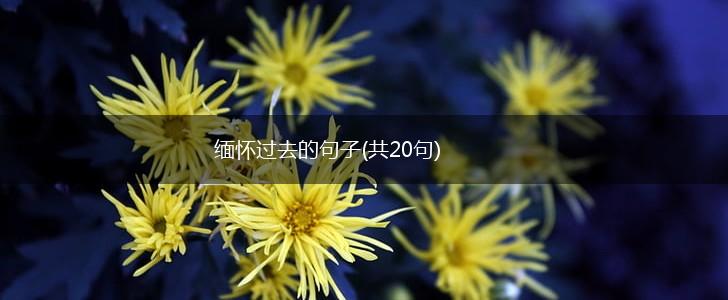 缅怀过去的句子(共20句),第1张