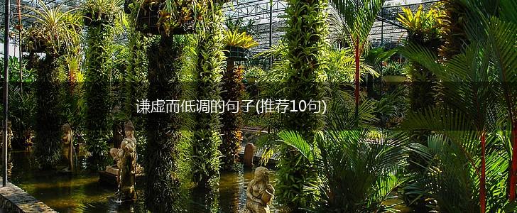 谦虚而低调的句子(推荐10句),第1张