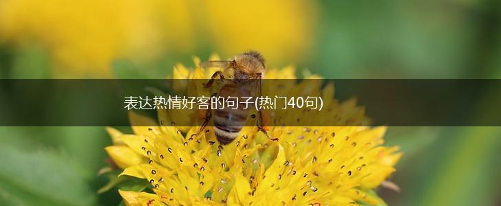 表达热情好客的句子(热门40句),第1张