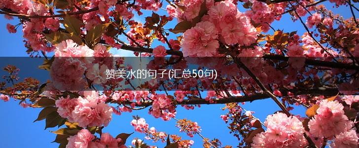 赞美水的句子(汇总50句),第1张