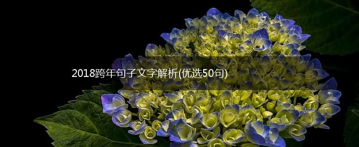 2018跨年句子文字解析(优选50句),第1张