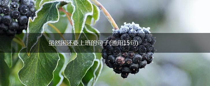 虽然困还要上班的句子(通用15句),第1张