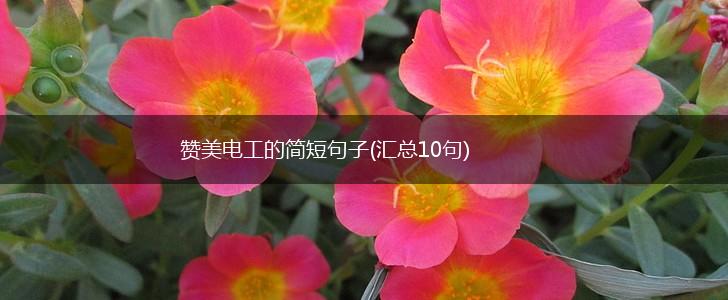 赞美电工的简短句子(汇总10句),第1张