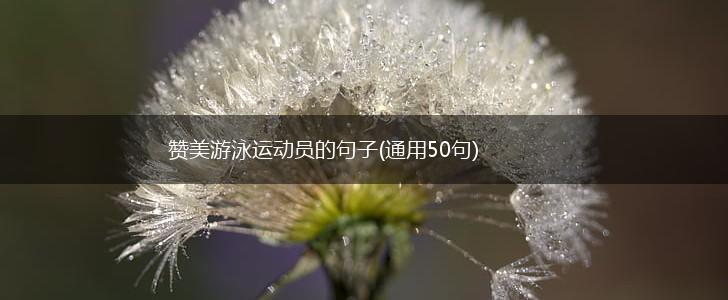 赞美游泳运动员的句子(通用50句),第1张