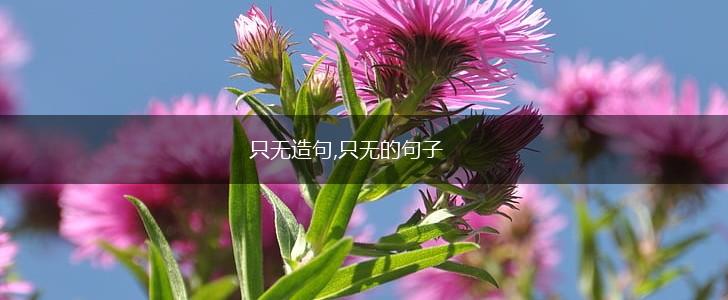 只无造句,只无的句子,第1张