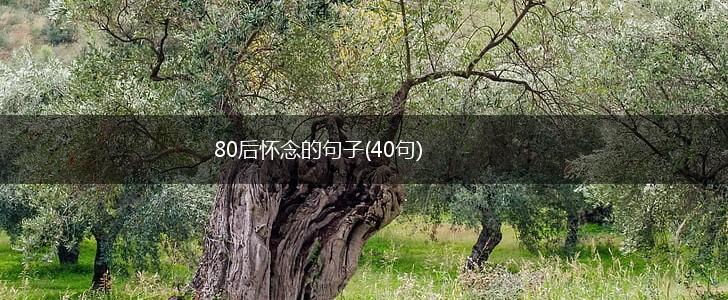 80后怀念的句子(40句),第1张