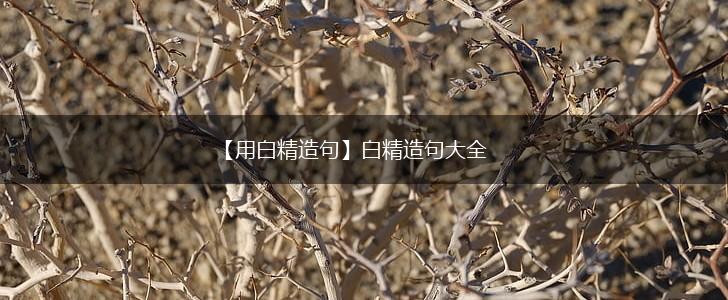 【用白精造句】白精造句大全,第1张