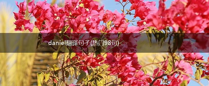 daniel翻译句子(热门98句),第1张