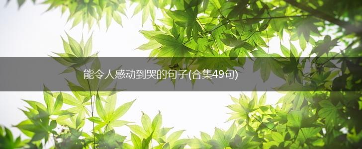 能令人感动到哭的句子(合集49句),第1张