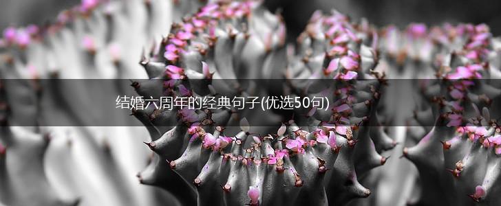 结婚六周年的经典句子(优选50句),第1张