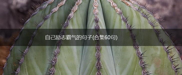 自己励志霸气的句子(合集60句),第1张
