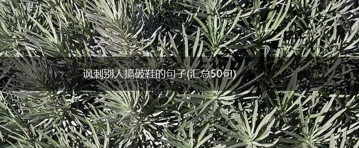 讽刺别人搞破鞋的句子(汇总50句),第1张
