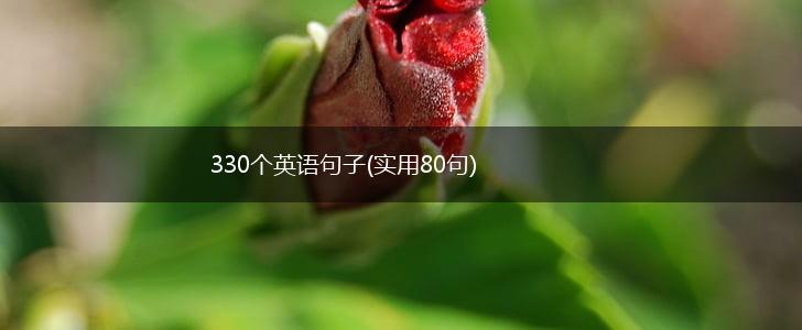330个英语句子(实用80句),第1张