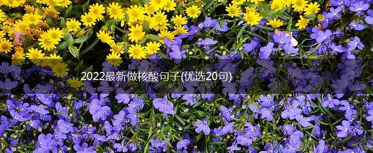 2022最新做核酸句子(优选20句),第1张