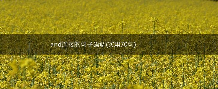 and连接的句子语调(实用70句),第1张