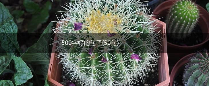 500字好的句子(50句),第1张