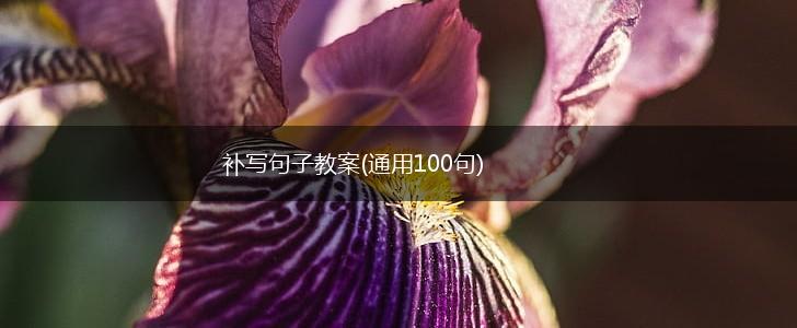补写句子教案(通用100句),第1张