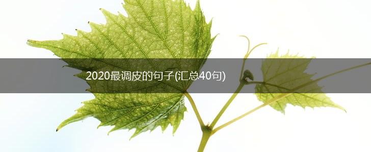 2020最调皮的句子(汇总40句),第1张