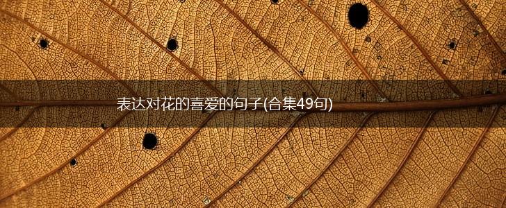 表达对花的喜爱的句子(合集49句),第1张