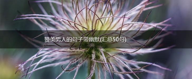 赞美男人的句子带幽默(汇总50句),第1张