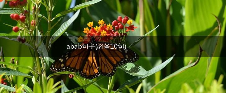 abab句子(必备10句),第1张