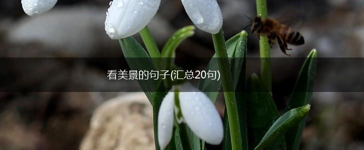 看美景的句子(汇总20句),第1张