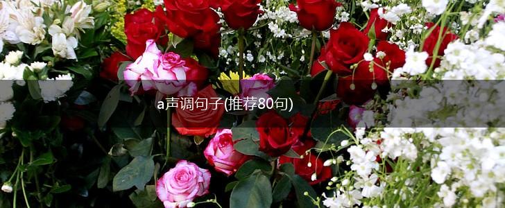 a声调句子(推荐80句),第1张