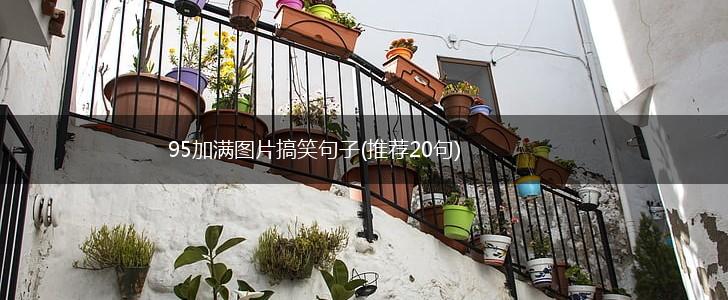 95加满图片搞笑句子(推荐20句),第1张