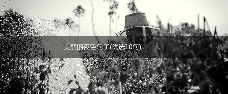美丽的夜色句子(优选10句),第1张