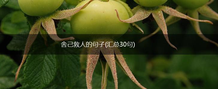 舍己救人的句子(汇总30句),第1张