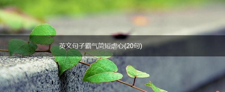 英文句子霸气简短虐心(20句),第1张