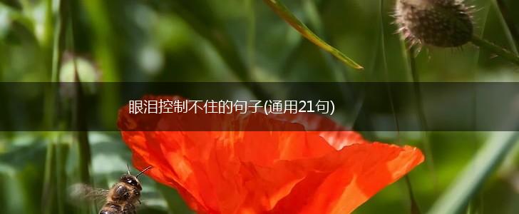 眼泪控制不住的句子(通用21句),第1张