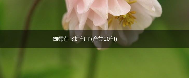 蝴蝶在飞扩句子(合集10句),第1张