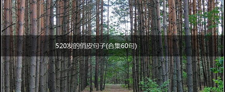 520发的俏皮句子(合集60句),第1张