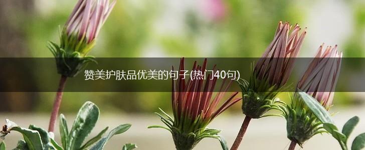 赞美护肤品优美的句子(热门40句),第1张