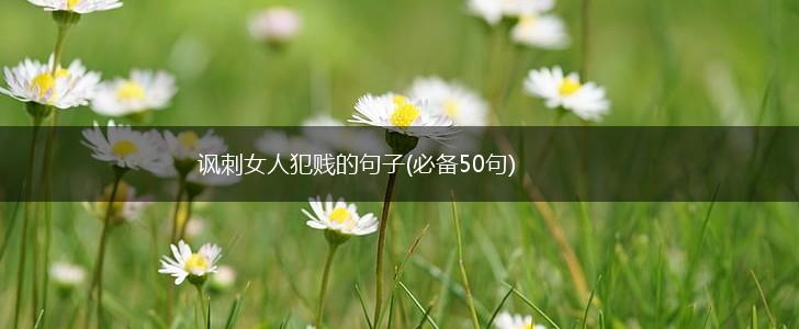 讽刺女人犯贱的句子(必备50句),第1张