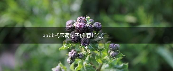 aabb式叠词句子(推荐15句),第1张