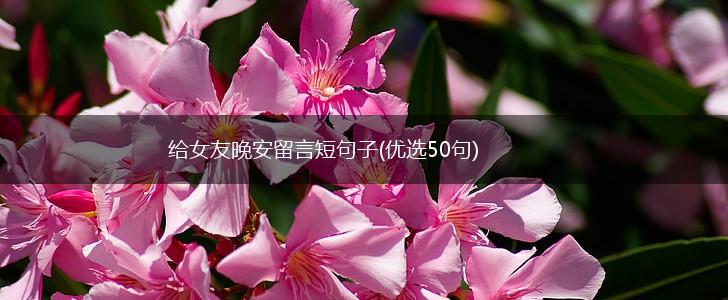 给女友晚安留言短句子(优选50句),第1张