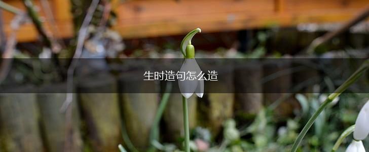 生时造句怎么造,第1张