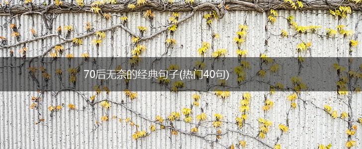 70后无奈的经典句子(热门40句),第1张
