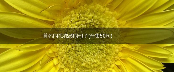 莫名的孤独感的句子(合集50句),第1张