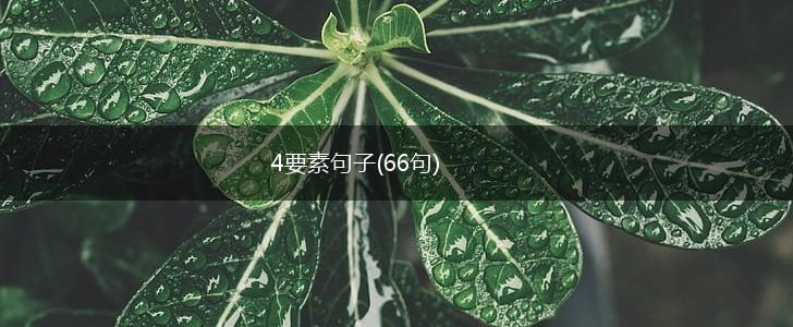 4要素句子(66句),第1张