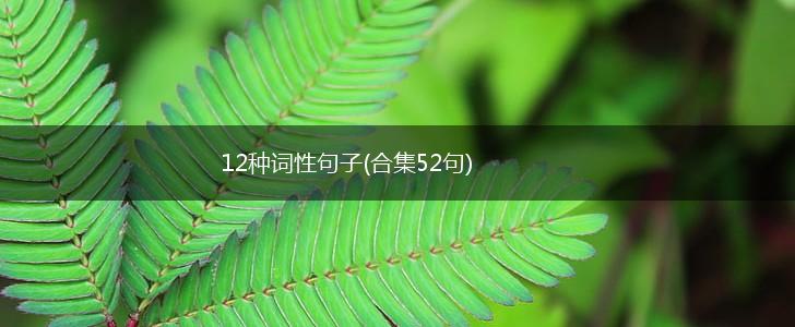 12种词性句子(合集52句),第1张