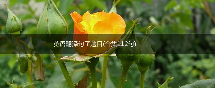 英语翻译句子题目(合集112句),第1张