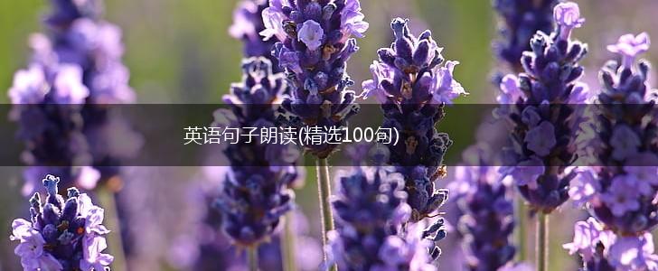 英语句子朗读(精选100句),第1张