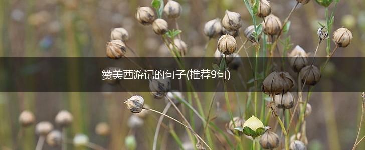 赞美西游记的句子(推荐9句),第1张