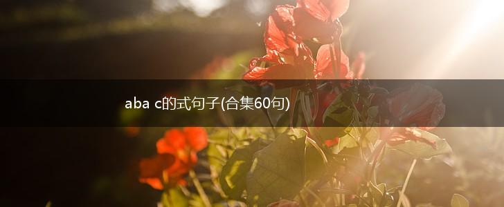 aba c的式句子(合集60句),第1张