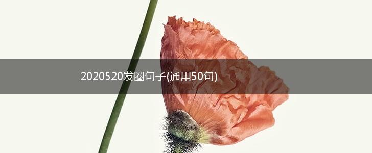 2020520发圈句子(通用50句),第1张